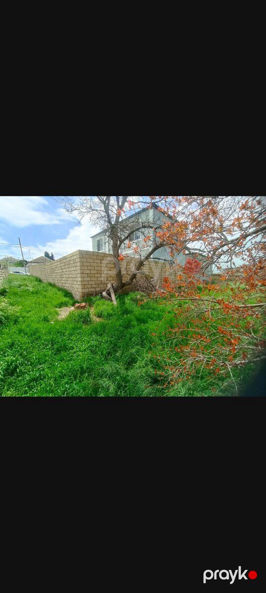 8.5 sot torpaq sahəsi, Saray qəs. — Torpaq, Bakı (2)