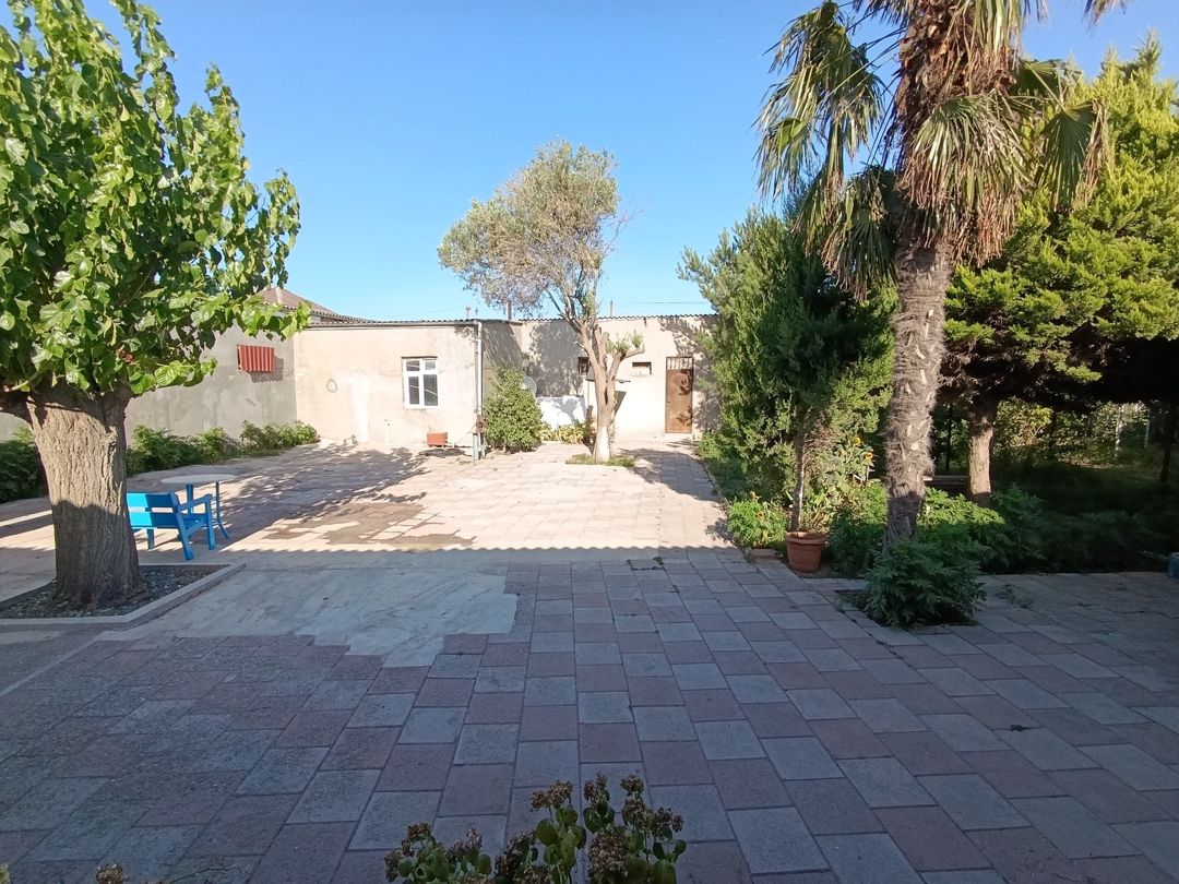 Satılır obyekt 800 m² — Əmlak, Bakı (7)
