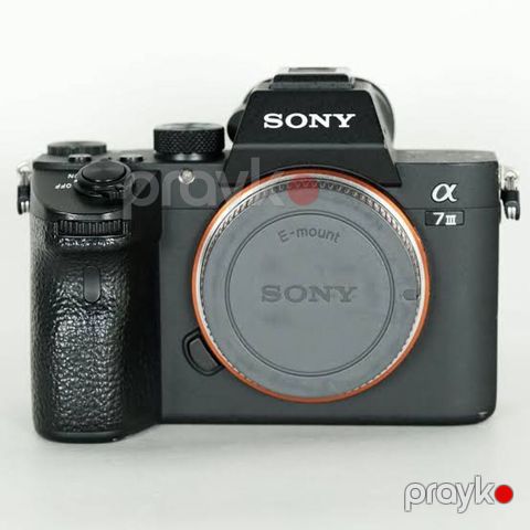 Sony Alpha a7 III (ILCE-7M3) tam kadr güzgüsüz fotoaparat - Sensor