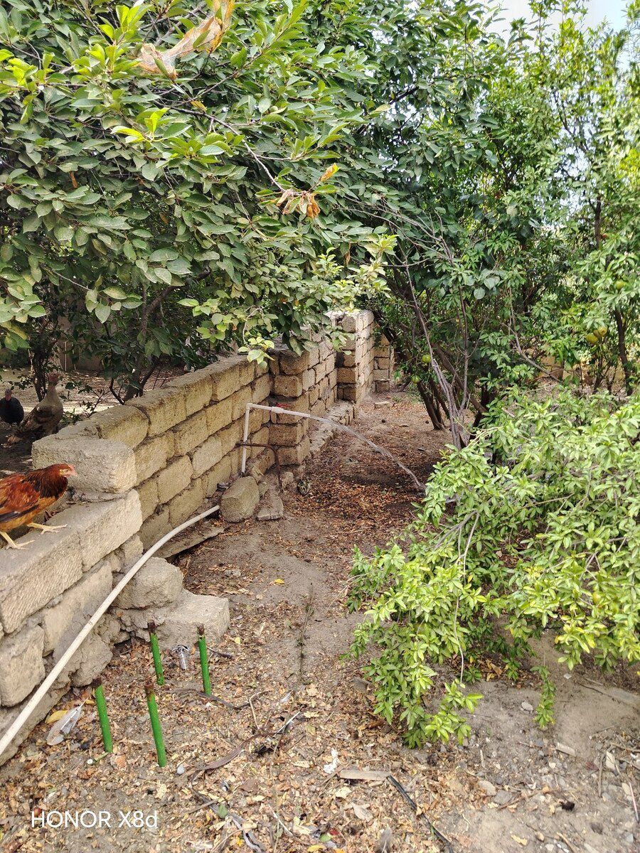 1.5 sot torpaq sahəsi, Saray qəs. — Torpaq, Sumqayıt (2)