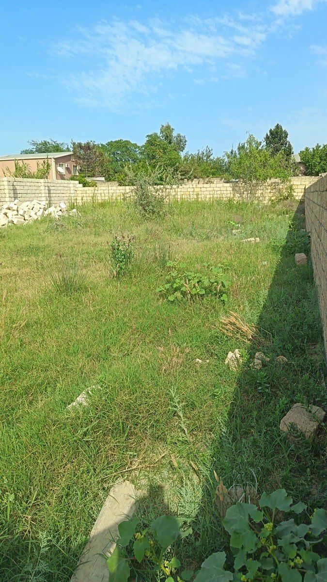 Satılır torpaq 4 sot — Torpaq, Bakı (2)