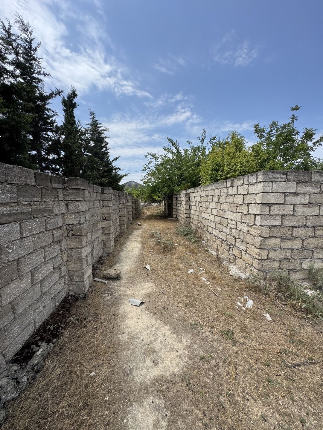 Satılır torpaq 4 sot — Torpaq, Bakı (2)
