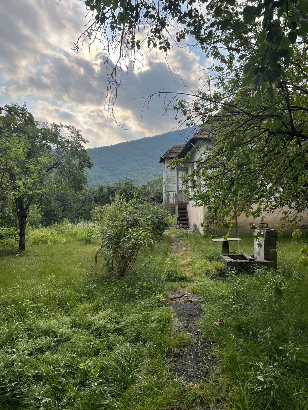 Satılır torpaq 6 sot — Torpaq, Oğuz (4)