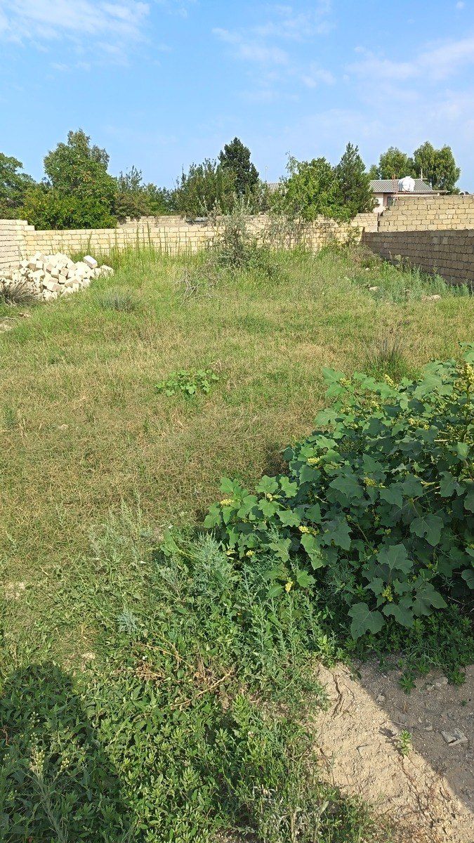 Satılır torpaq 4 sot — Torpaq, Bakı (4)
