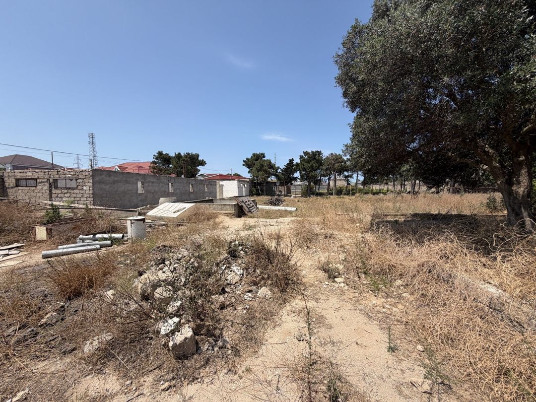 Satılır torpaq 50 sot — Torpaq, Bakı (3)