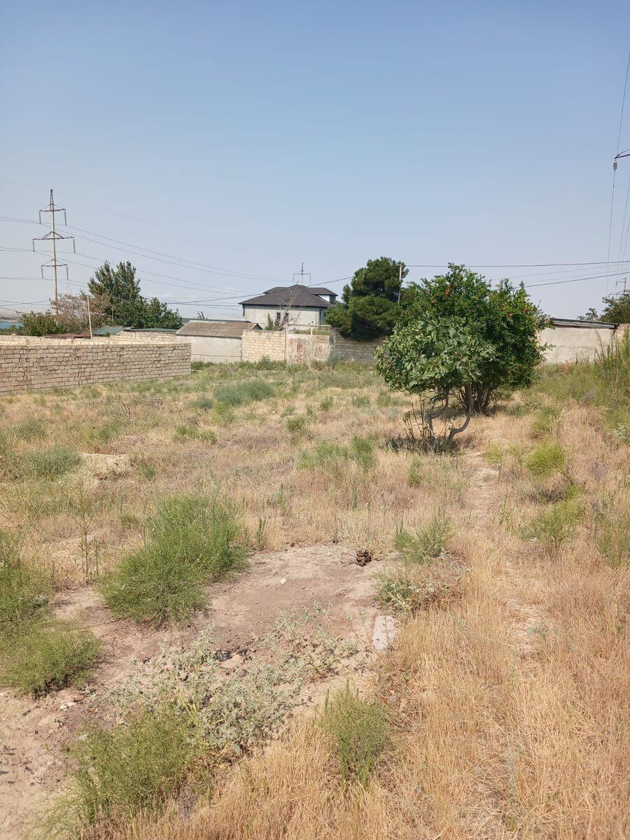 10 sot torpaq sahəsi, Saray qəs. — Torpaq, Sumqayıt (4)