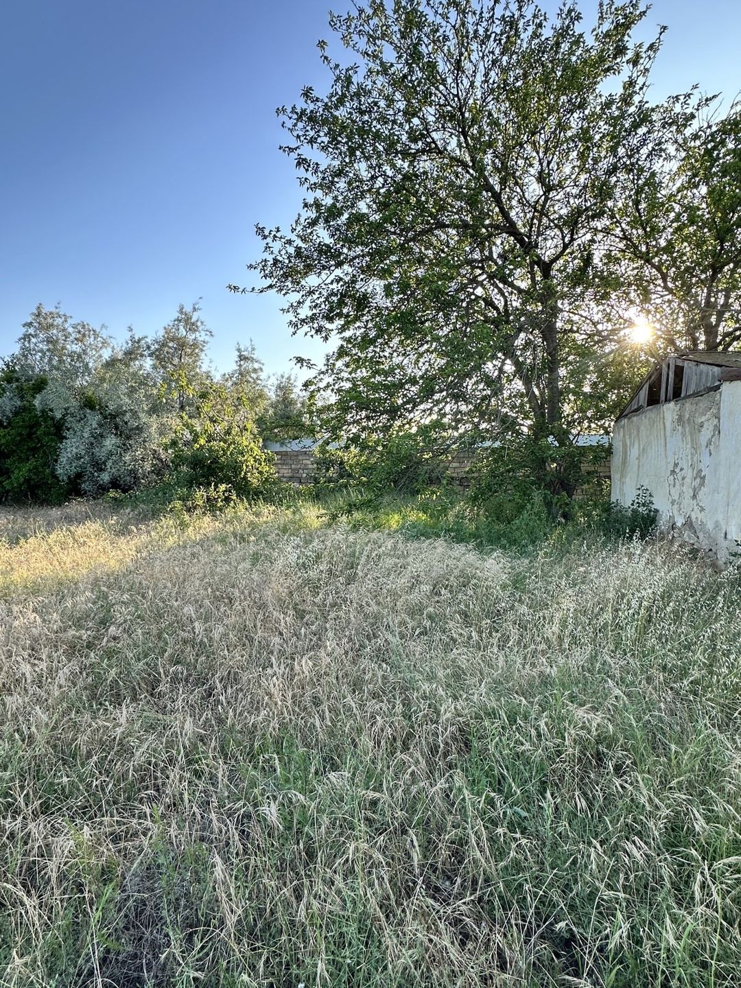 4 sot torpaq sahəsi, Novxanı qəs. — Torpaq, Bakı (4)