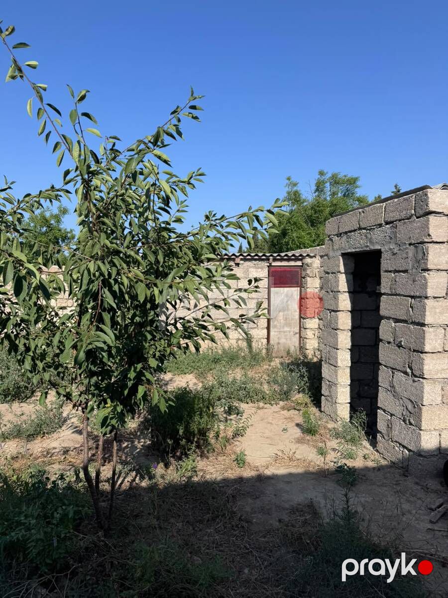 Bağ evi, Albalılıq qəs. — Ev, villa, Bakı (5)