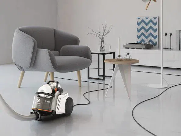 Electrolux tozsoran — Mallar, Bakı (5)