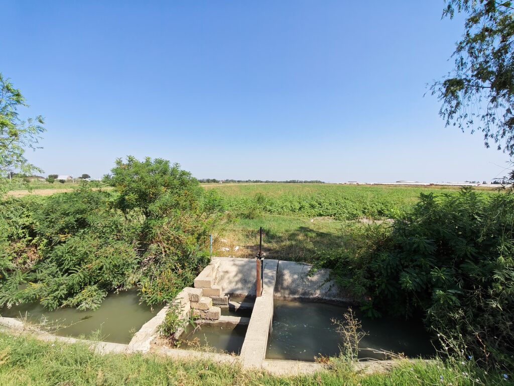 Kənd təsərrüfatı, Kupça (Çıxarış) — Torpaq, Ağcabədi (2)