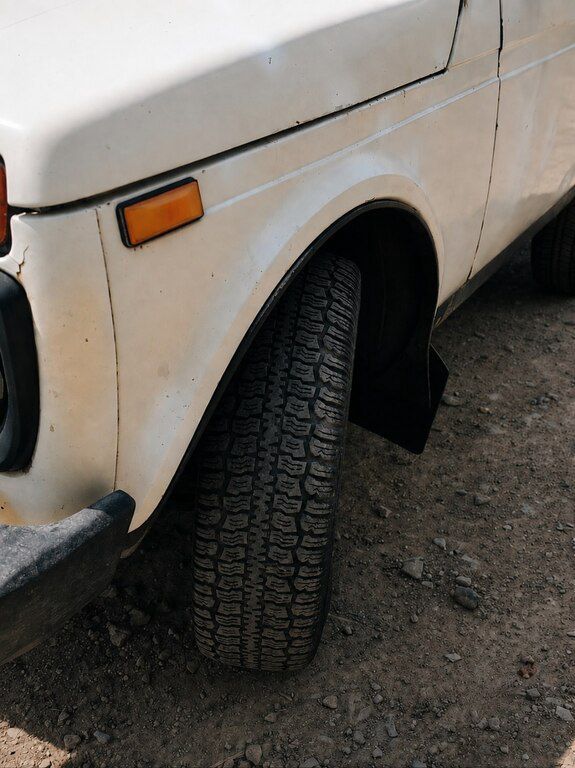 LADA (VAZ) Niva, 1.6 L, 1987 il, 185 900 km — Avtomobillər, Lerik (6)