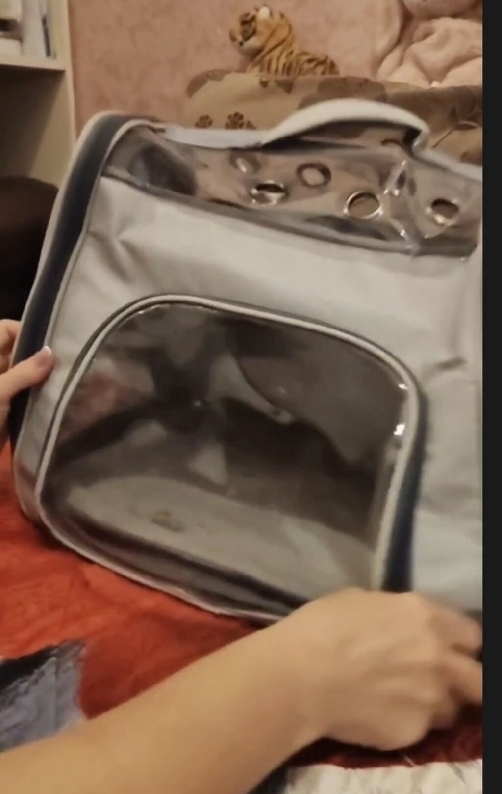Ev heyvanları üçün daşıma çantası/backpack tipli daşıyıcı. Açıq boz — Heyvanlar, Bakı (5)