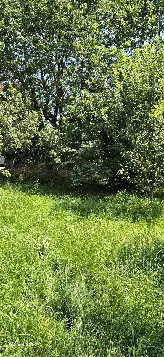 Земельный участок 4 сот, г. Гусар. — Torpaq, Quba (3)
