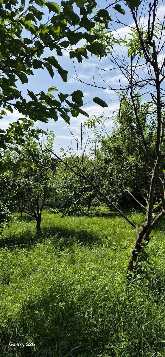 Земельный участок 4 сот, г. Гусар. — Torpaq, Quba (9)
