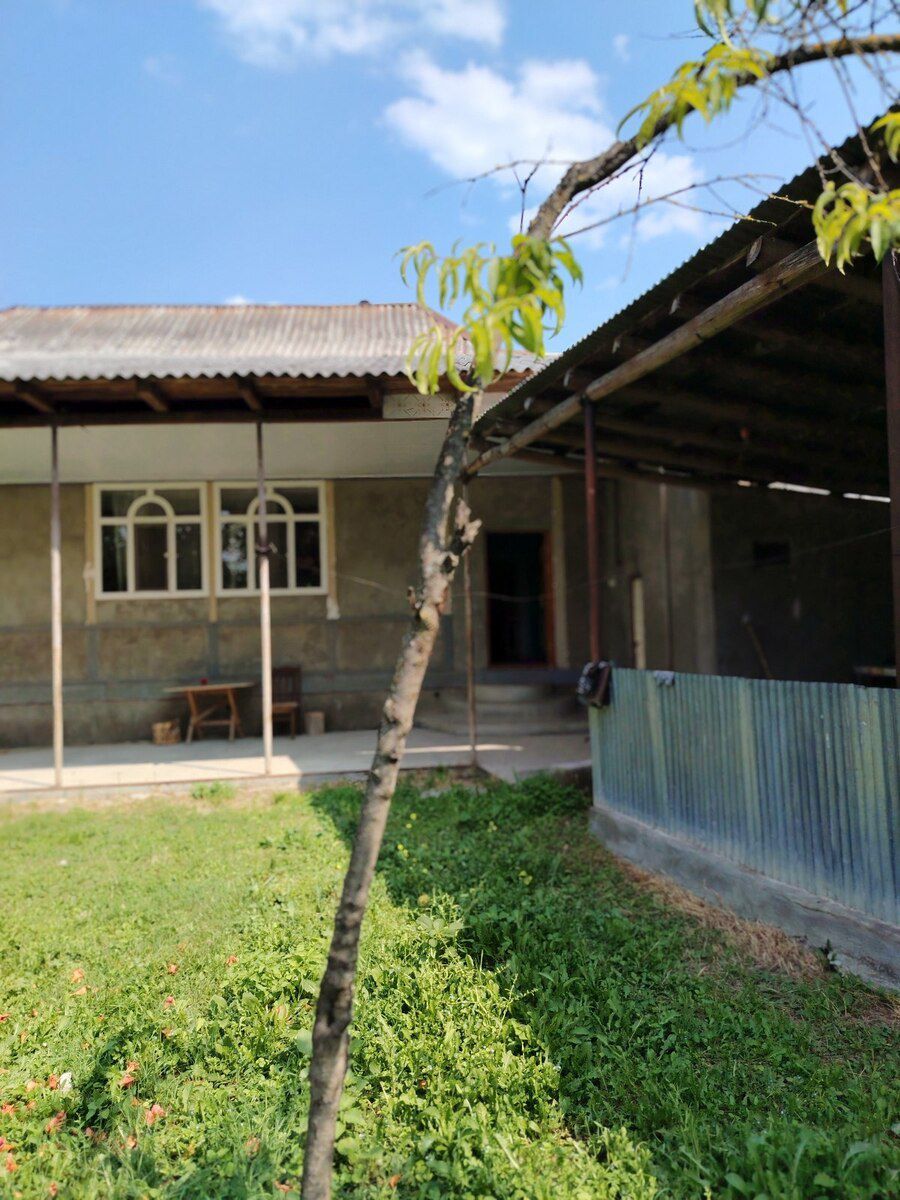 57 sot torpaq sahəsi, Şəki ş. — Torpaq, Şəki