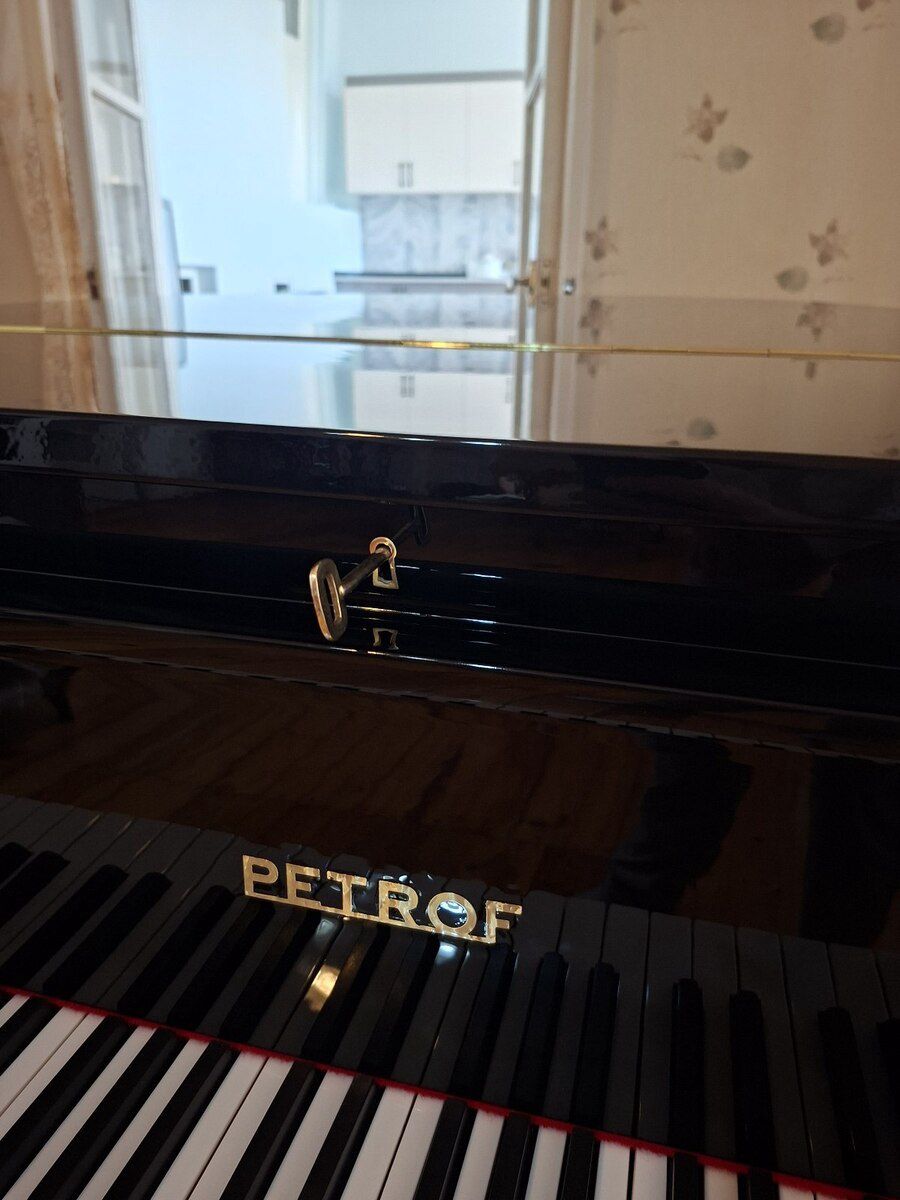Royal — Musiqiə alətləri, Bakı (5)