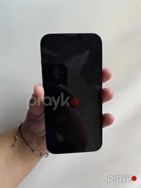 IPhone 13, Göy