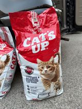 Cat’s Up – tam və balanslaşdırılmış qidalanma üçün quru pişik yemi — Heyvanlar
