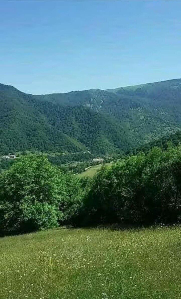 100 sot torpaq sahəsi, Quba r. — Torpaq, Quba (6)