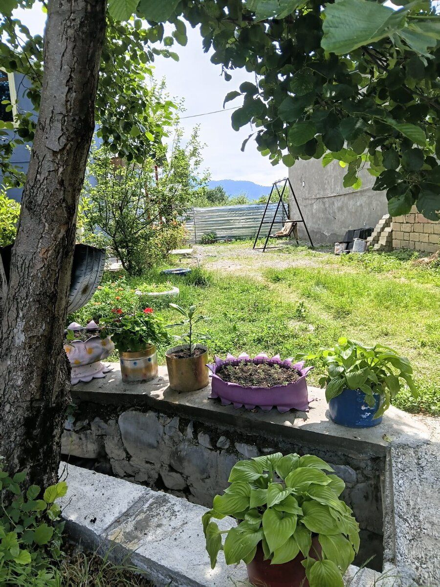Həyət evi kirayə verilir, İsmayıllı r. — Ev, villa, İsmayıllı (9)