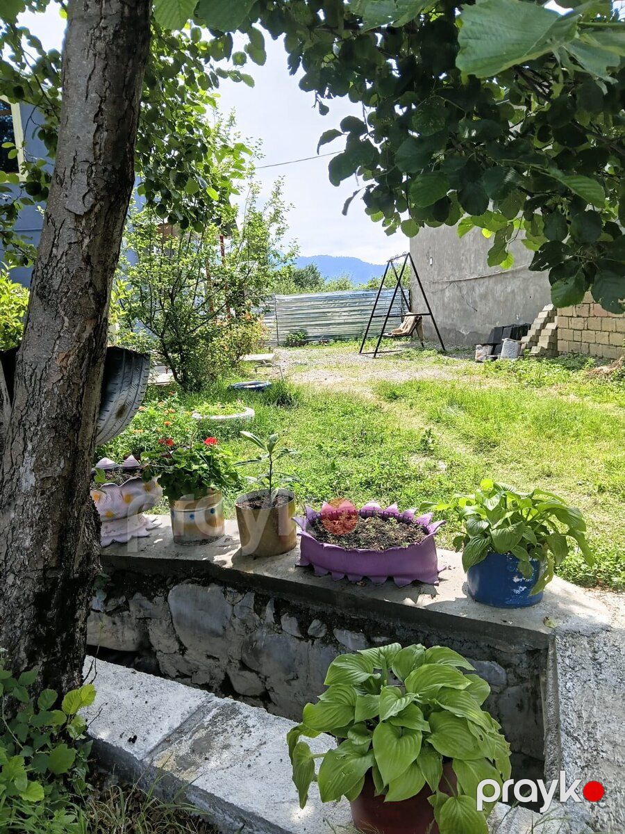 Həyət evi kirayə verilir, İsmayıllı r — Ev, villa, İsmayıllı (9)