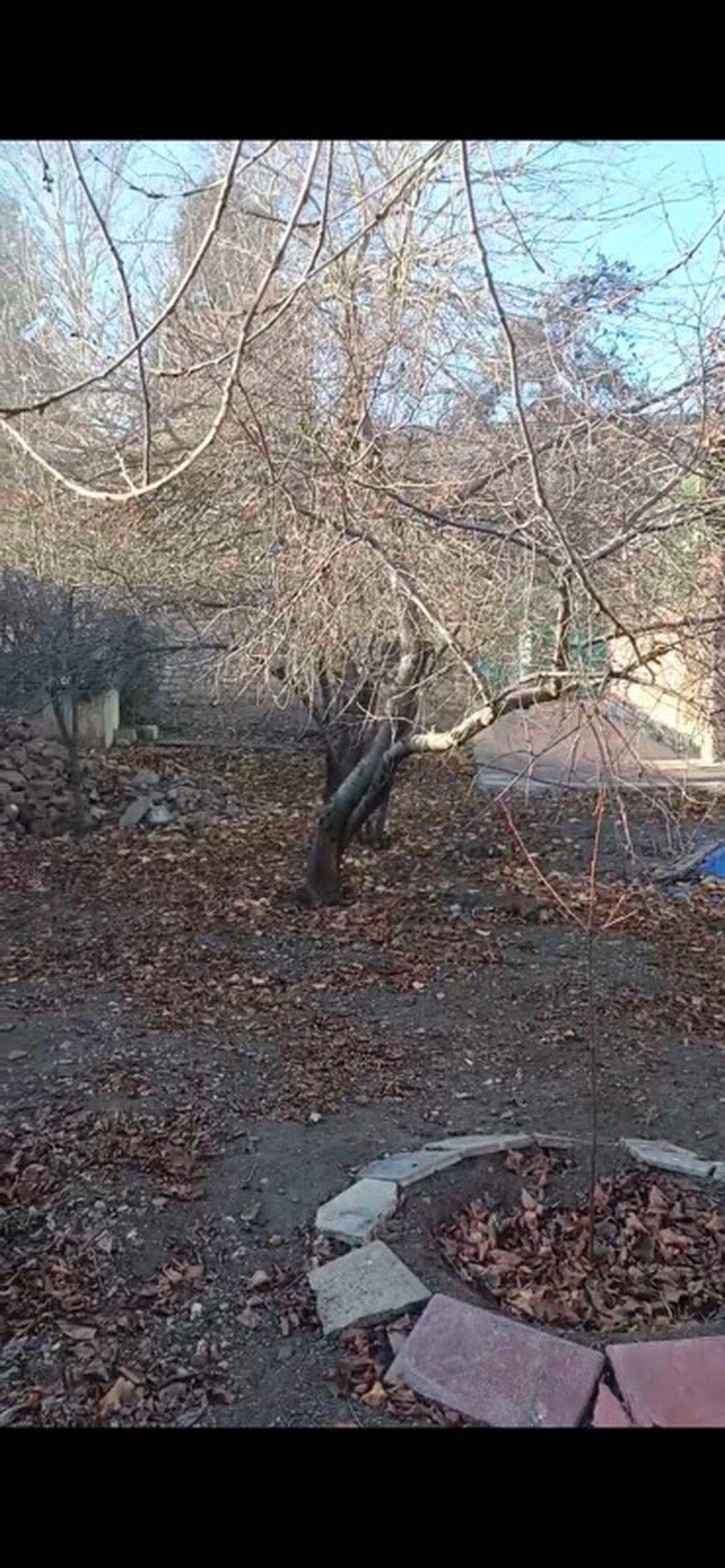 Kənd təsərrüfatı, Makler, Kupça (Çıxarış) — Torpaq, Gəncə (4)