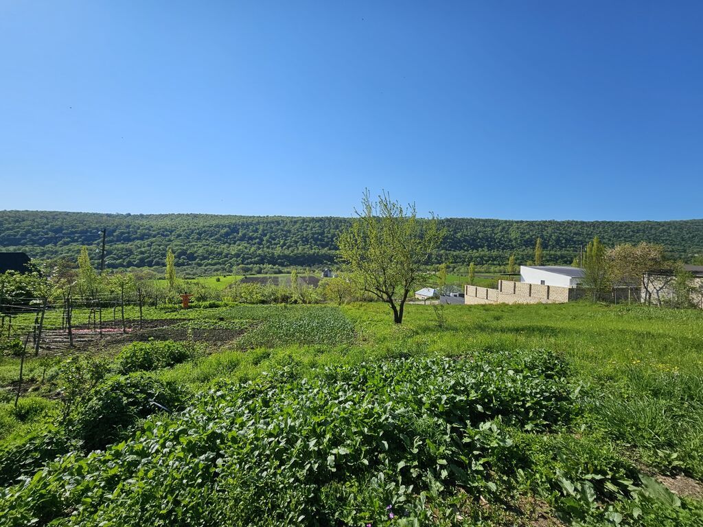 12 sot, Tikinti, Mülkiyyətçi, Kupça (Çıxarış) — Torpaq, Qusar (4)