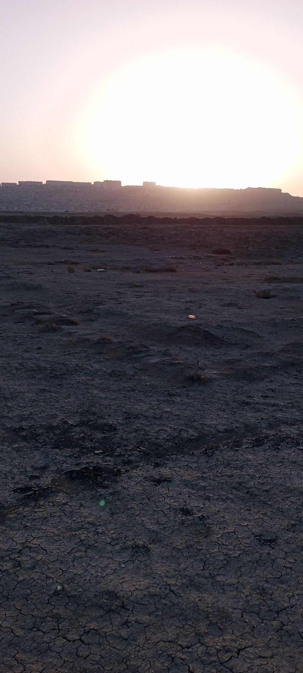 Tikinti — Torpaq, Bakı (4)