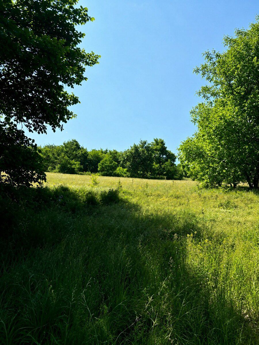 100 sot torpaq sahəsi, Quba r. — Torpaq, Quba (4)