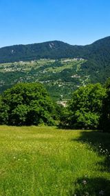 100 sot torpaq sahəsi, Quba r. — Real estate