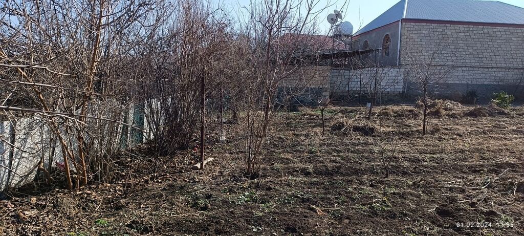 8 sot, Tikinti, Makler, Kupça (Çıxarış) — Torpaq, Şəmkir (2)