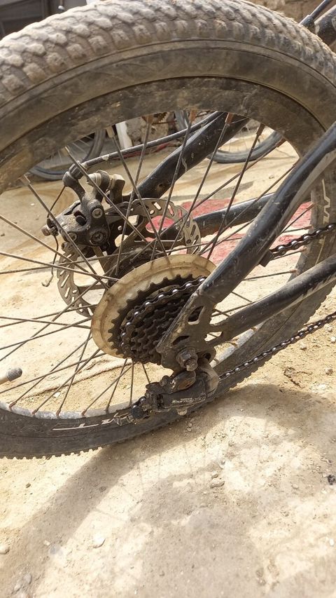 Velosiped