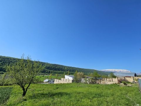 12 sot, Tikinti, Mülkiyyətçi, Kupça (Çıxarış) — Qusar