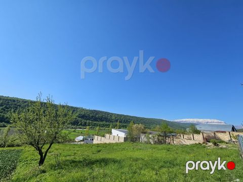 12 sot, Tikinti, Mülkiyyətçi, Kupça (Çıxarış)