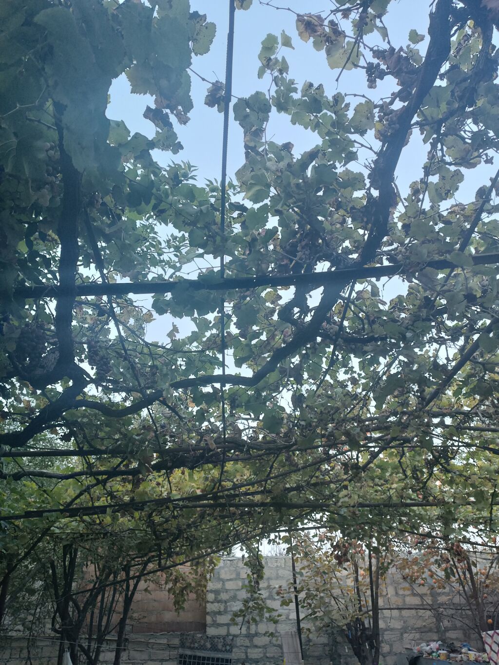 8 otaq, 90 kv. m, Orta təmir — Daşınmaz əmlak, Mingəçevir (4)