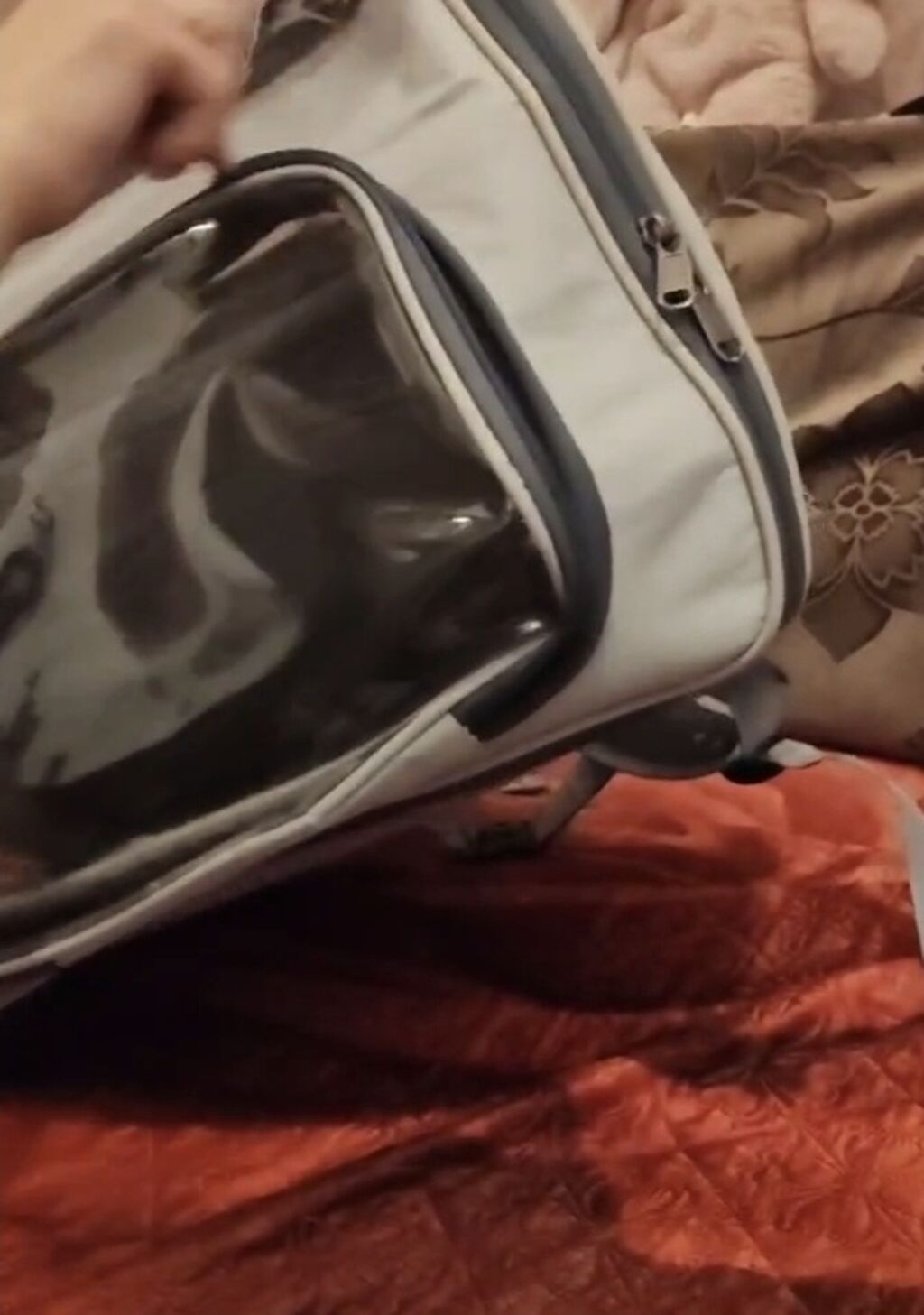 Ev heyvanları üçün daşıma çantası/backpack tipli daşıyıcı. Açıq boz — Heyvanlar, Bakı (3)
