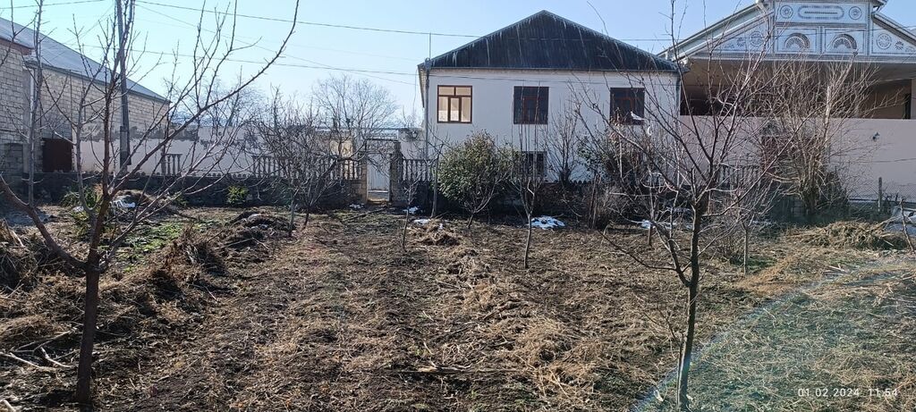 8 sot, Tikinti, Makler, Kupça (Çıxarış) — Torpaq, Şəmkir (4)