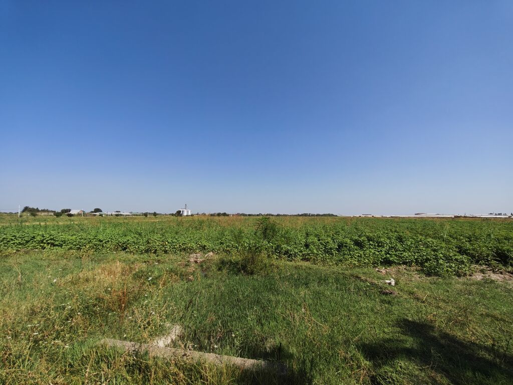 Kənd təsərrüfatı, Kupça (Çıxarış) — Torpaq, Ağcabədi (6)