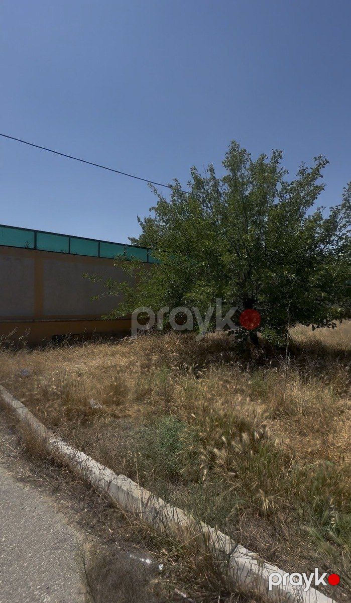 30 sot torpaq sahəsi, Novxanı qəs. — Torpaq, Bakı (9)