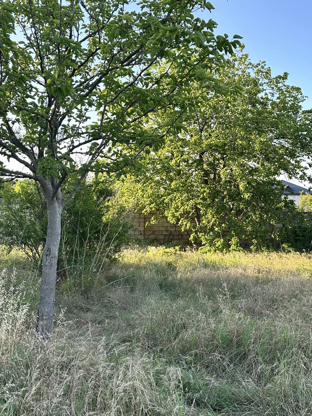 4 sot torpaq sahəsi, Novxanı qəs. — Torpaq, Bakı