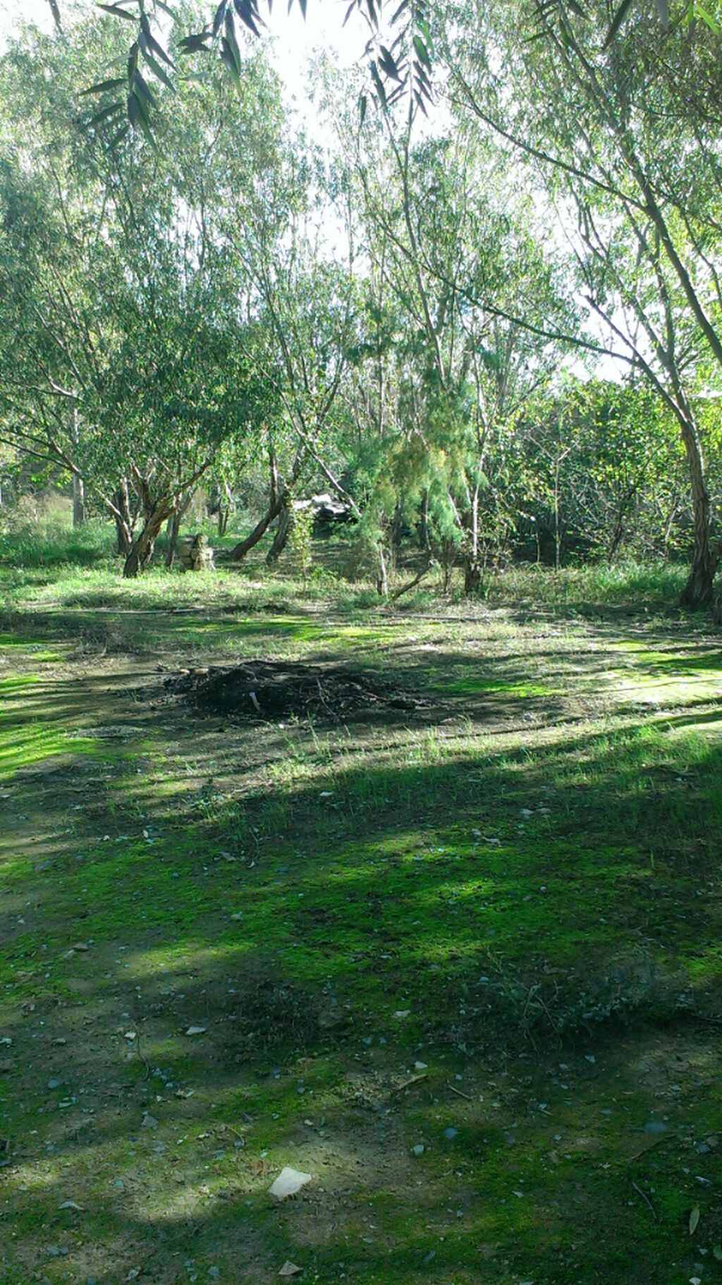 18 sot, Biznes üçün, Barter mümkündür, Kupça (Çıxarış) — Torpaq, Bakı (4)