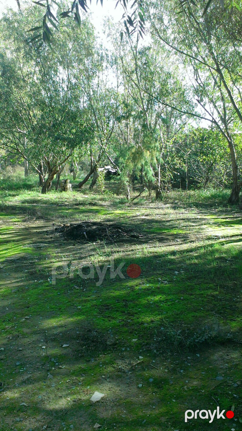18 sot, Biznes üçün, Barter mümkündür, Kupça (Çıxarış) — Torpaq, Bakı (4)