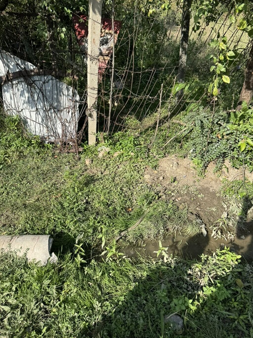 Tikinti — Torpaq, Gəncə (2)