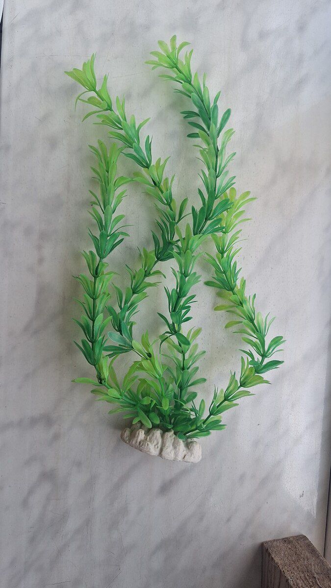 Akvarium aksesuarları — Akvariumlar və balıqlar, Bakı (3)