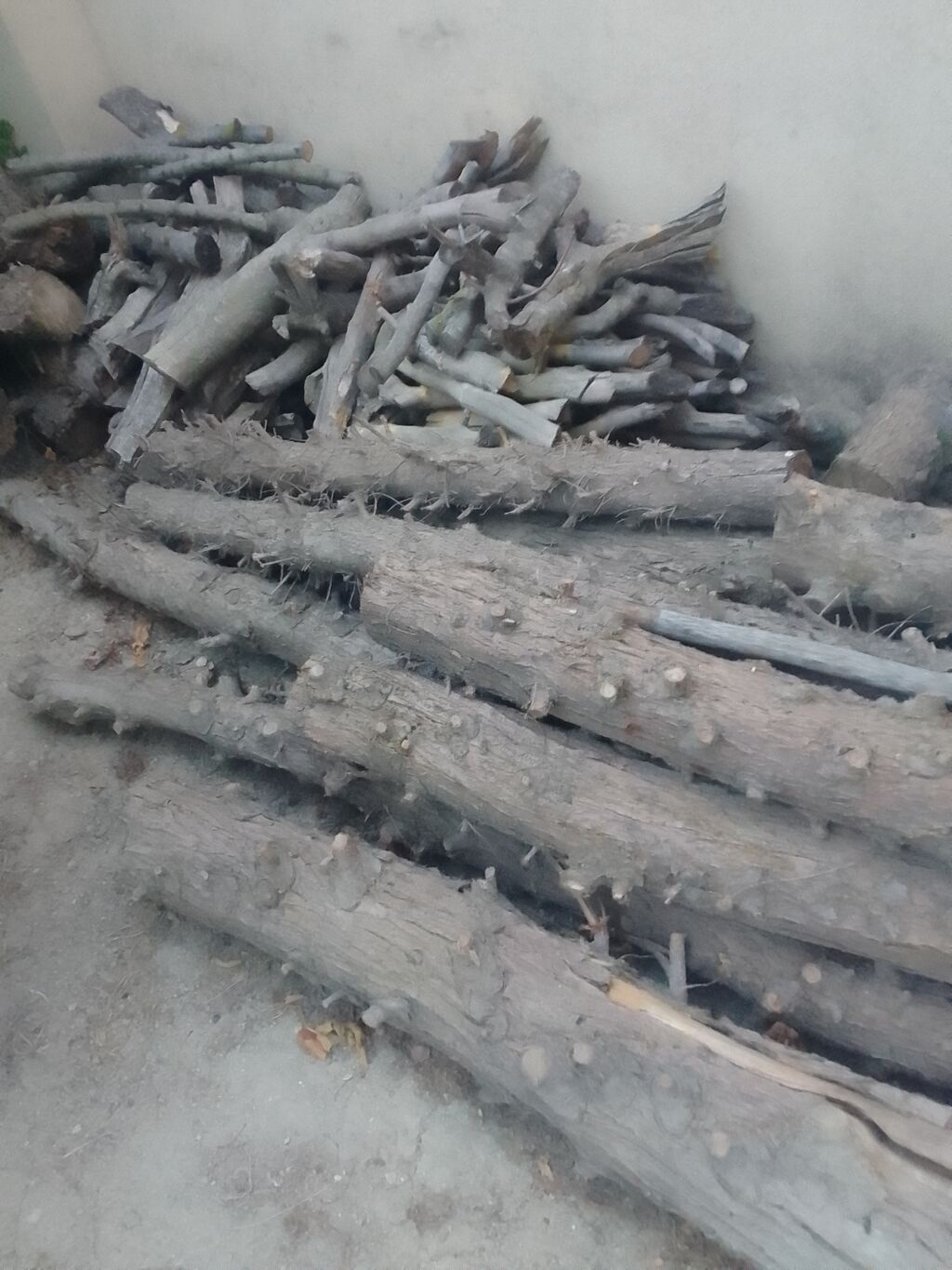 Təndir üçün odun satılır — Mallar, Digah (2)