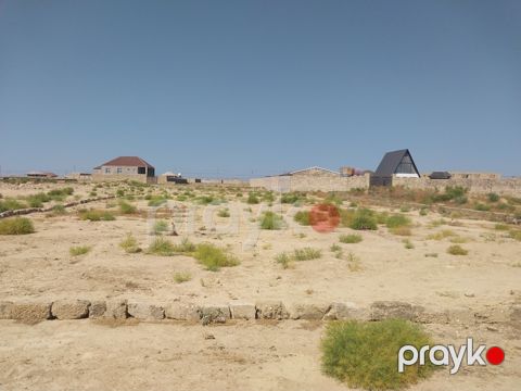 5 sot torpaq sahəsi, Türkan qəs.