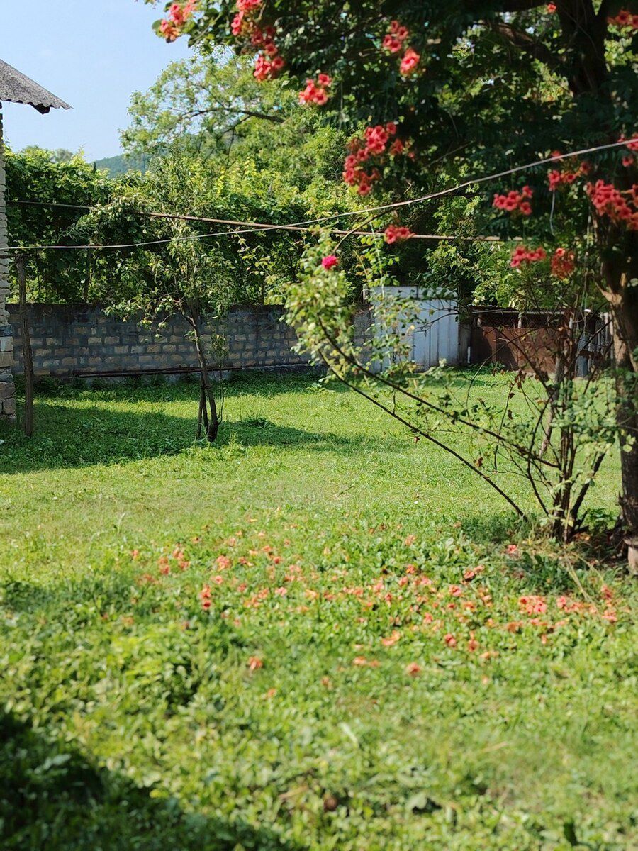 57 sot torpaq sahəsi, Şəki ş. — Torpaq, Şəki (4)