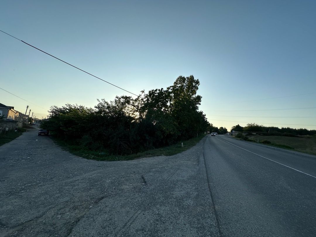21 sot torpaq sahəsi, Quba r. — Torpaq, Quba (7)