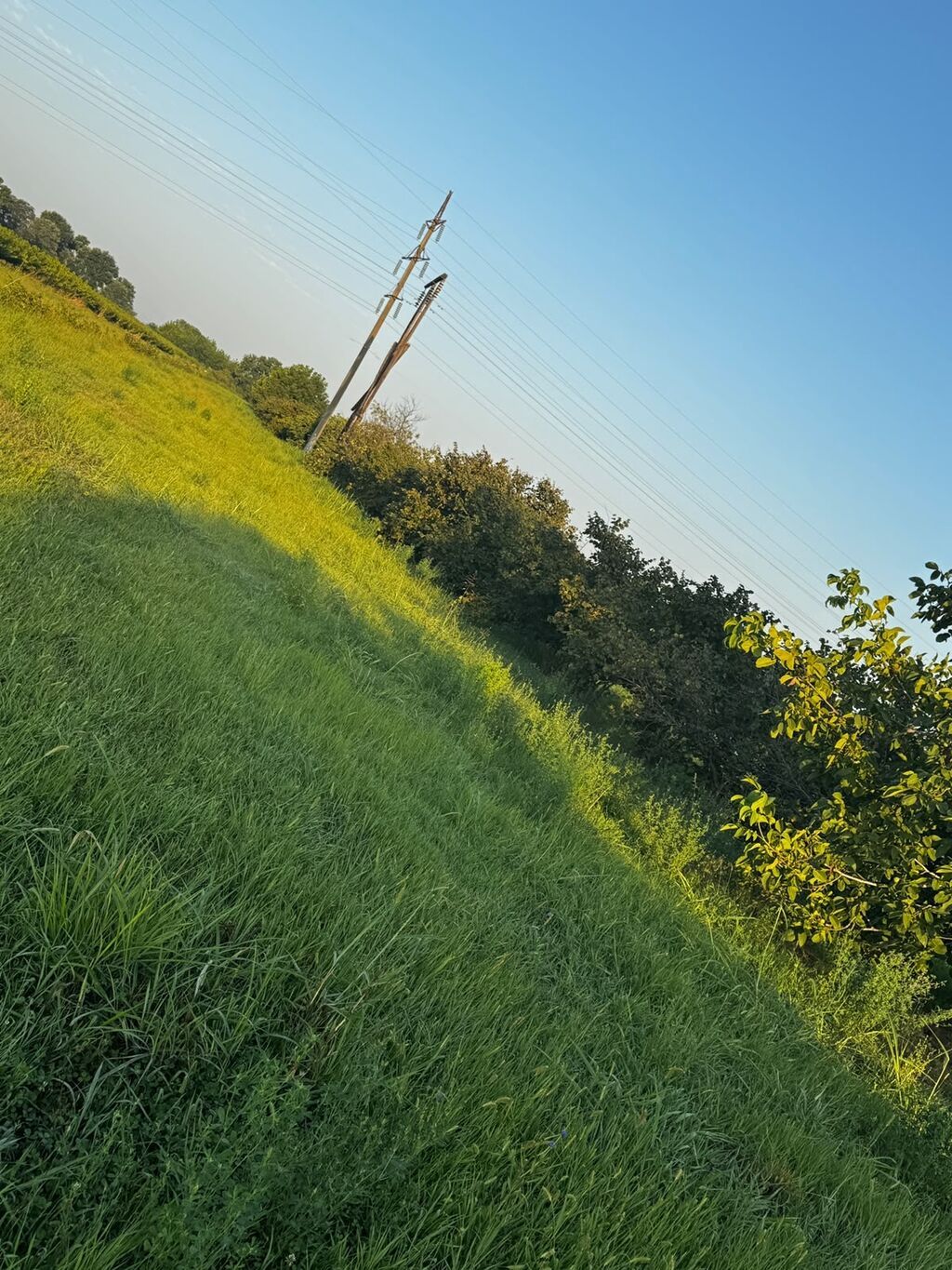 237 sot, Kənd təsərrüfatı, Mülkiyyətçi, Kupça (Çıxarış) — Torpaq, Xırdalan (3)