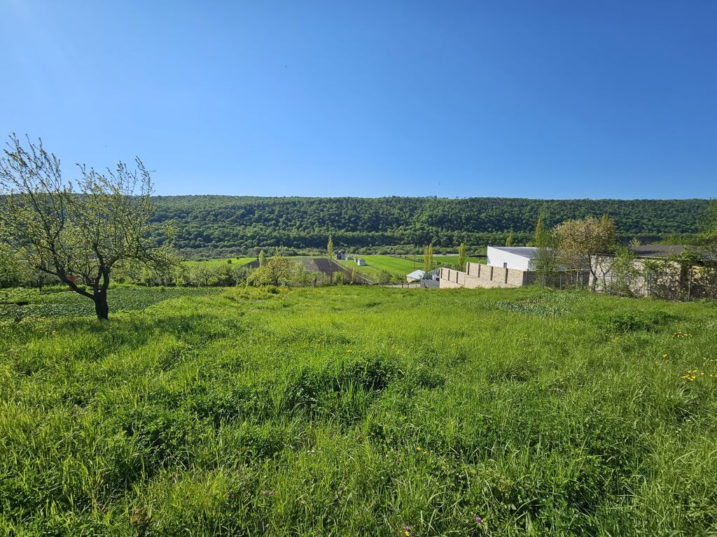 12 sot, Tikinti, Mülkiyyətçi, Kupça (Çıxarış) — Torpaq, Qusar (6)